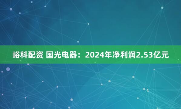 峪科配资 国光电器：2024年净利润2.53亿元